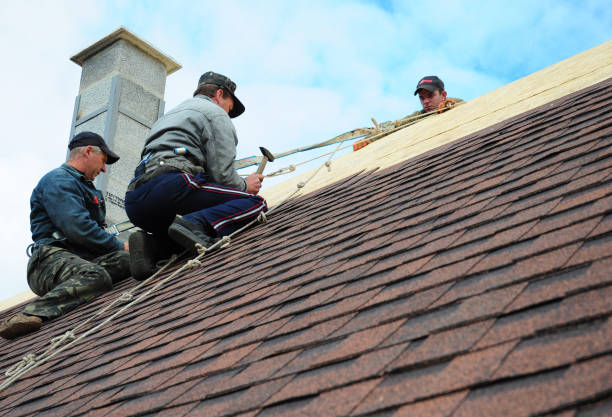 Best Roof Maintenance Services  in Reading, OH